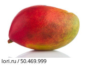 Mango fruit on white reflective background. Стоковое фото, агентство Ingram Publishing / Фотобанк Лори