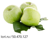 Three fresh green apples on white background. Стоковое фото, агентство Ingram Publishing / Фотобанк Лори