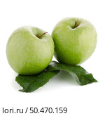 Two fresh green apples on white background. Стоковое фото, агентство Ingram Publishing / Фотобанк Лори
