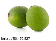 Fresh green limes isolated on white background. Стоковое фото, агентство Ingram Publishing / Фотобанк Лори