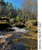 Water stream near Fecha de Barjas waterfall (also known as Tahiti waterfall) in the mountains of Peneda-Geres National Park, Portugal. Стоковое фото, агентство Ingram Publishing / Фотобанк Лори