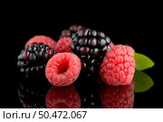 Composition from a blackberry and raspberry on the black isolated background. Стоковое фото, агентство Ingram Publishing / Фотобанк Лори
