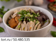 Large noodles with pork blood sausage, shredded chicken, crispy pork and sliced ??spring onions. Стоковое фото, агентство Ingram Publishing / Фотобанк Лори