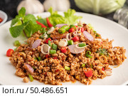 Spicy minced pork salad with chili flakes, lime, chopped green onions, chilli and roasted rice, sliced ??shallots on a cement floor. Стоковое фото, агентство Ingram Publishing / Фотобанк Лори