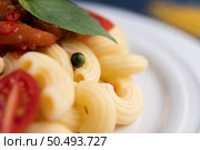 Stir-fried macaroni with tomato, chili, pepper seeds and basil in a white dish. Стоковое фото, агентство Ingram Publishing / Фотобанк Лори