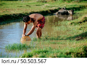 Portrait Young man topless use bamboo fishing trap to catch fish for cooking, Asian young farmer man in rural lifestyle, blurred buffalo is soaking in the swamp. in background. Стоковое фото, агентство Ingram Publishing / Фотобанк Лори