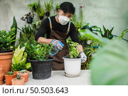Portrait Young gardener man in face mask wearing gloves and apron spraying water on houseplants in pot and looking to camera, small business with tree or  Home gardening. Стоковое фото, агентство Ingram Publishing / Фотобанк Лори