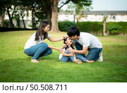 Vacation for a young family Spend this priceless time together playing on the village lawn. A little girl was slightly injured while playing with her parents comforting her at her side. Стоковое фото, агентство Ingram Publishing / Фотобанк Лори