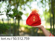 A Red amulet bag with  Chinese alphabet means good fortune and happinese on female hand in bamboo forest background, Chinese New Year concept, copy space. Стоковое фото, агентство Ingram Publishing / Фотобанк Лори