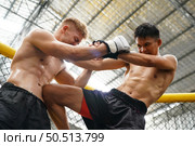 Mixed Martial Art, The power of a knee into the opponent’s abdomen causing the opponent to have colic, tightness in the stomach and lose by knockout. Стоковое фото, агентство Ingram Publishing / Фотобанк Лори
