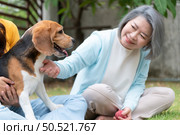 Family vacation, mother, daughter, and beagle puppy relaxing on weekends in the front yard. Стоковое фото, агентство Ingram Publishing / Фотобанк Лори