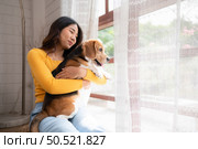 Beagle dog with her owner’s girl on a weekend getaway sitting and resting and looking out of the window in the living room of the house. Стоковое фото, агентство Ingram Publishing / Фотобанк Лори