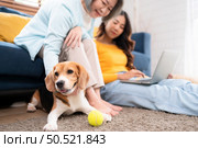Family vacation, mother, daughter, and beagle puppy relaxing on weekends in the house’s leisure room. Стоковое фото, агентство Ingram Publishing / Фотобанк Лори