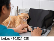 An intelligent Persian cat snuggles up with a computer. so that the owner stops working and comes to play with. Стоковое фото, агентство Ingram Publishing / Фотобанк Лори