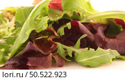 Salad mix with rucola, frisee, radicchio and lamb’s lettuce. Isolated on white background. Стоковое фото, агентство Ingram Publishing / Фотобанк Лори