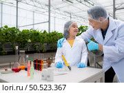 In the closed strawberry garden, a young scientist conducts a strawberry nutrient production experiment with her science class. Стоковое фото, агентство Ingram Publishing / Фотобанк Лори