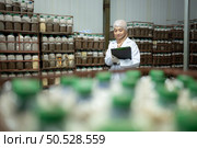Young asian muslim female scientist doing research at a mushroom factory, examining mushroom leavening agent in a sterile and temperature-controlled room. Стоковое фото, агентство Ingram Publishing / Фотобанк Лори