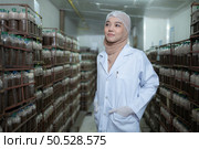 Portrait of young asian muslim female scientist doing research at a mushroom factory, examining mushroom leavening agent in a sterile and temperature-controlled room. Стоковое фото, агентство Ingram Publishing / Фотобанк Лори