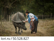 A woman walks holding a buffalo rope in the meadow. Стоковое фото, агентство Ingram Publishing / Фотобанк Лори