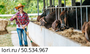 Portrait of Happy young Asian farmer woman sweeping floor at cow farm. Agriculture industry, farming, people, technology and animal husbandry concept. Стоковое фото, агентство Ingram Publishing / Фотобанк Лори