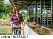 Portrait of Happy Asian farmer woman feeding cows in cowshed on dairy farm. Agriculture industry, farming, people, technology and animal husbandry concept. Стоковое фото, агентство Ingram Publishing / Фотобанк Лори