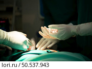 Professor of medicine in cardiology and a team of doctors in the operating room undergoing heart transplant surgery. Стоковое фото, агентство Ingram Publishing / Фотобанк Лори