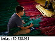 Processing of flax trees into different colors to be weaved into mats. One of the occupations and lifestyles of village people in rural Thailand. Стоковое фото, агентство Ingram Publishing / Фотобанк Лори