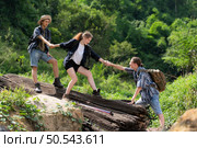 Group of friend on a sunny day in the forest Young group hiker with backpack and trekking poles helping to pull each other up to stand on the log. Стоковое фото, агентство Ingram Publishing / Фотобанк Лори