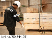 Female carpenter working in a woodworking factory, she is wearing a safety helmet and glasses.Checking the wooden planks coming out of the wood grinder. Стоковое фото, агентство Ingram Publishing / Фотобанк Лори
