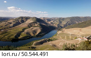 View of the terraced vineyards in the Douro Valley and river near the village of Pinhao, Portugal. Concept for travel in Portugal and most beautiful places in Portugal. Стоковое фото, агентство Ingram Publishing / Фотобанк Лори