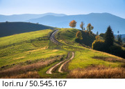 Carpathian mountain valley with beautiful hills in haze, orange trees at sunset in autumn in Ukraine. Colorful landscape with dirt road, meadows, forest, green grass, golden sunlight in fall. Nature. Стоковое фото, агентство Ingram Publishing / Фотобанк Лори