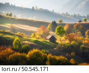 Carpathian mountain valley with beautiful hills in haze, alone small wooden house, orange trees at sunset in autumn in Ukraine. Colorful landscape with meadows, forest, grass, sunlight in fall. Nature. Стоковое фото, агентство Ingram Publishing / Фотобанк Лори