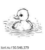 Cute duckling swimming in the water. Black and white vector illustration. Стоковая иллюстрация, агентство Ingram Publishing / Фотобанк Лори
