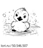 Cute little duckling in water. Black and white vector illustration. Стоковая иллюстрация, агентство Ingram Publishing / Фотобанк Лори