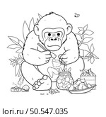 Monkey eating food. Monochrome vector illustration for coloring book. Стоковая иллюстрация, агентство Ingram Publishing / Фотобанк Лори