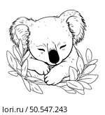 Koala cartoon design. Animal cute zoo life nature and fauna theme Vector illustration. Стоковая иллюстрация, агентство Ingram Publishing / Фотобанк Лори