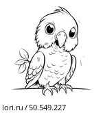 Black and White Cartoon Illustration of Cute Parrot Bird for Coloring Book. Стоковая иллюстрация, агентство Ingram Publishing / Фотобанк Лори