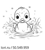 Duckling swimming in water. Black and white vector illustration. Стоковая иллюстрация, агентство Ingram Publishing / Фотобанк Лори