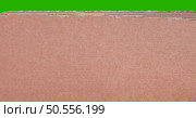 Green screen cardboard texture background. Old vintage brown paper box surface. Стоковое фото, агентство Ingram Publishing / Фотобанк Лори