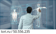 doctor working in laboratory. Studying human skeleton and DNA samples. Стоковое фото, агентство Ingram Publishing / Фотобанк Лори