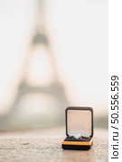 Wedding ring with Background Blurry shot of the Eiffel Tower In Paris with copy space - Landscape - Monotone - Defocused. Стоковое фото, агентство Ingram Publishing / Фотобанк Лори