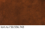 Dark brown background for decorations and textures. Стоковое фото, агентство Ingram Publishing / Фотобанк Лори