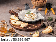 Brie type of cheese. Camembert cheese. Fresh sliced Brie cheese on a wooden tray with nuts, honey and leaves. Italian, French cheese. Стоковое фото, агентство Ingram Publishing / Фотобанк Лори