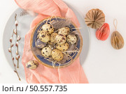 Quail eggs in a ceramic bowl with a peach fuzz pink colored scarf and bird feathers. Wooden table painted white. Background with elements suggestive of the Easter season. Стоковое фото, агентство Ingram Publishing / Фотобанк Лори