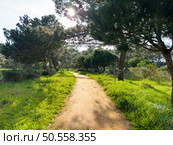 Scenic view of Bucaquinho Natural Park, Ovar, north of Portugal. Стоковое фото, агентство Ingram Publishing / Фотобанк Лори