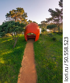 Scenic view of Bucaquinho Natural Park, Ovar, north of Portugal. Стоковое фото, агентство Ingram Publishing / Фотобанк Лори
