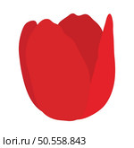 Spring tulip bud element. Ideal for making colorful summer and spring designs. Vector illustration. Стоковая иллюстрация, агентство Ingram Publishing / Фотобанк Лори