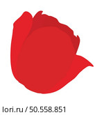 Spring tulip bud element. Ideal for making colorful summer and spring designs. Vector illustration. Стоковая иллюстрация, агентство Ingram Publishing / Фотобанк Лори
