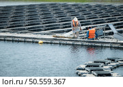 Both of technicians are currently evaluating and repairing the transmission terminals for electricity generated by solar energy in a floating solar power system. Стоковое фото, агентство Ingram Publishing / Фотобанк Лори
