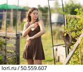 Young girl spraying mosquito repellent on herself on summer day at farm. Стоковое фото, фотограф Яков Филимонов / Фотобанк Лори
